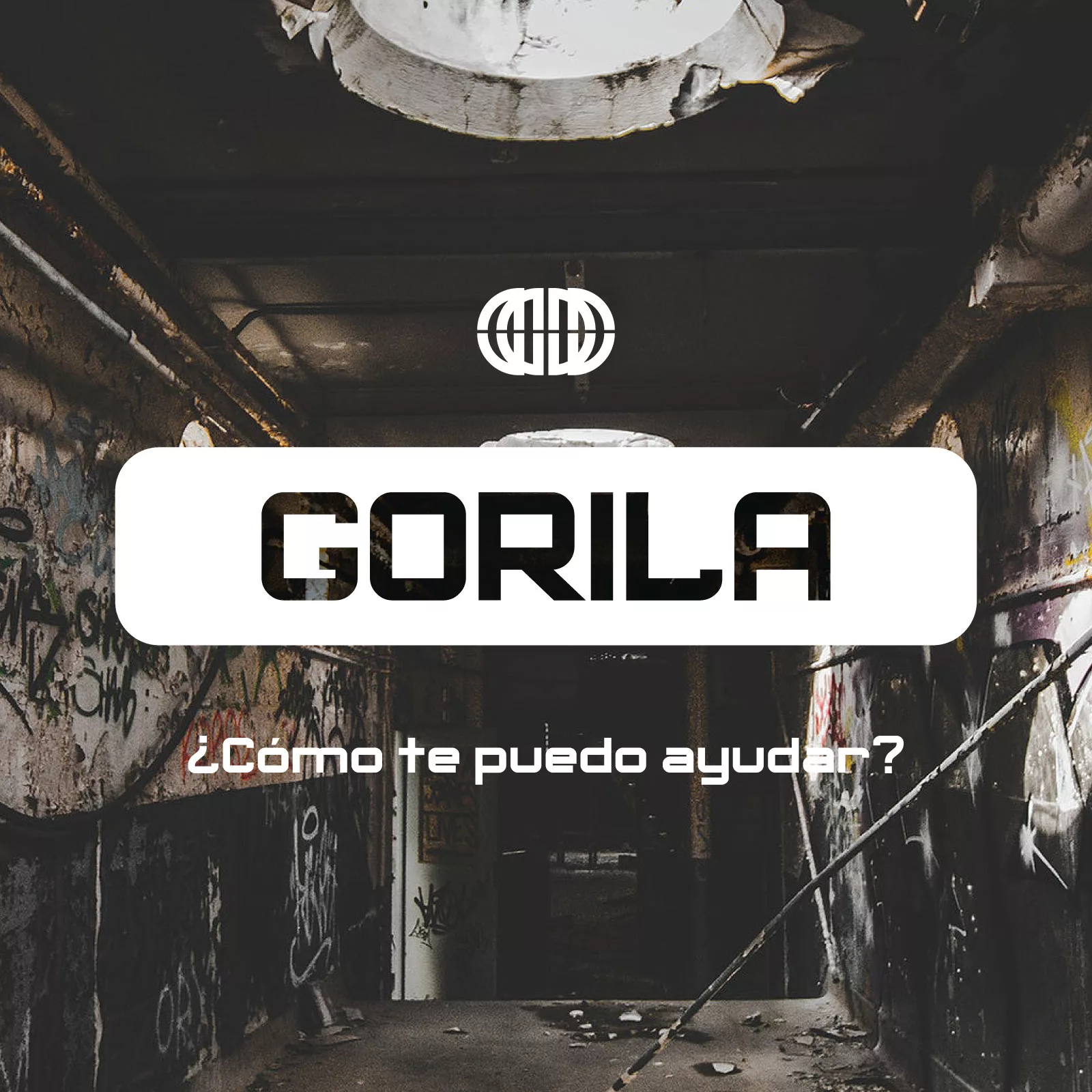 gorila-1